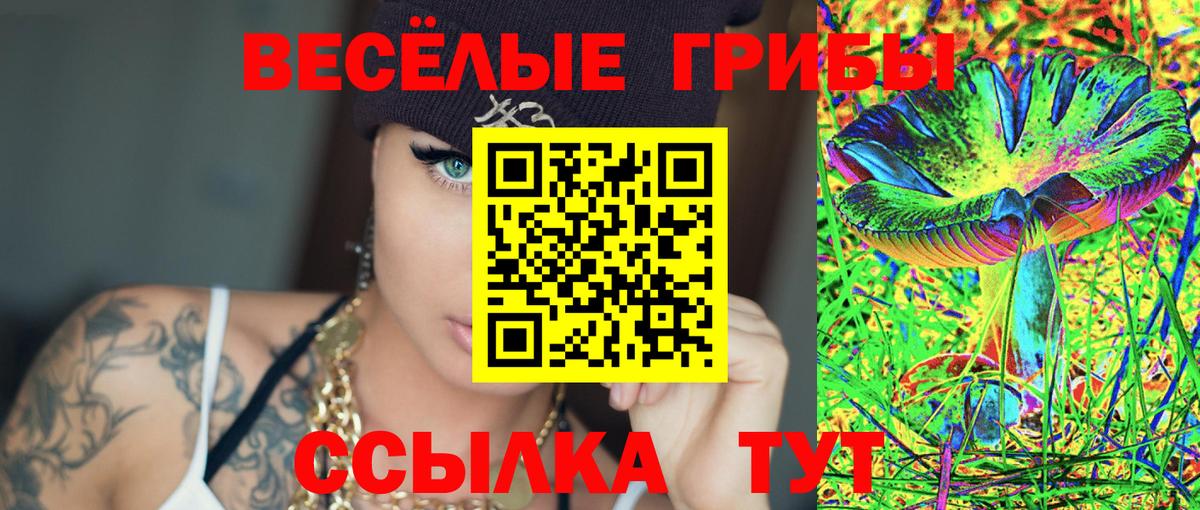 Псилоцибиновые грибы Cubensis Кызыл