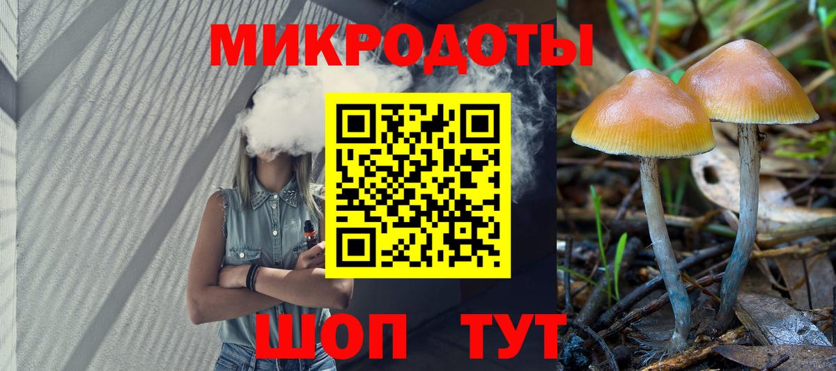 Псилоцибиновые грибы Magic Shrooms  Вход с VPN  что такое   Кызыл  Галлюциногенные грибы GOLDEN TEACHER 
